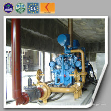 Угольный газовый генератор с сертификатом CE и ISO (10-600 кВт)